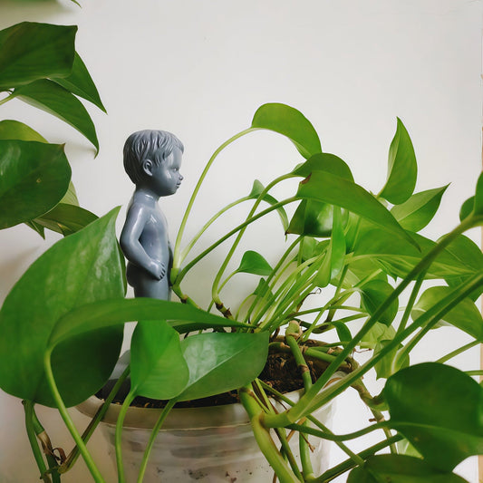 Rzeźba ogrodowa „Siusiu moje rośliny”